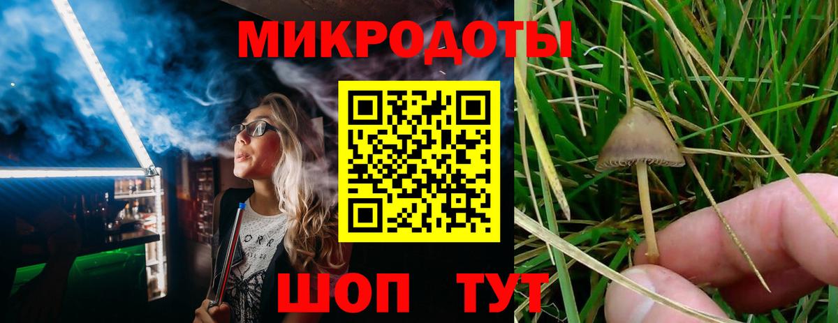 Кисловодск  Псилоцибиновые грибы прущие грибы  Вход с VPN 
